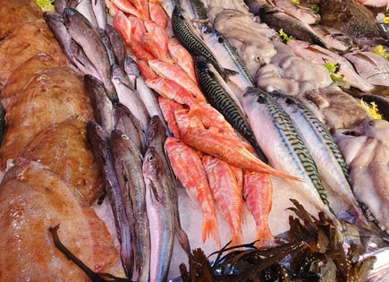 Poissonerie du marché Richelme