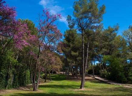 Parc de la Colline de Cuques