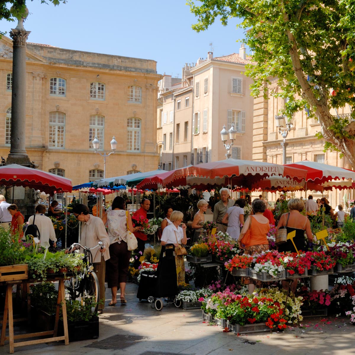 Marché aux fleurs d'Aix