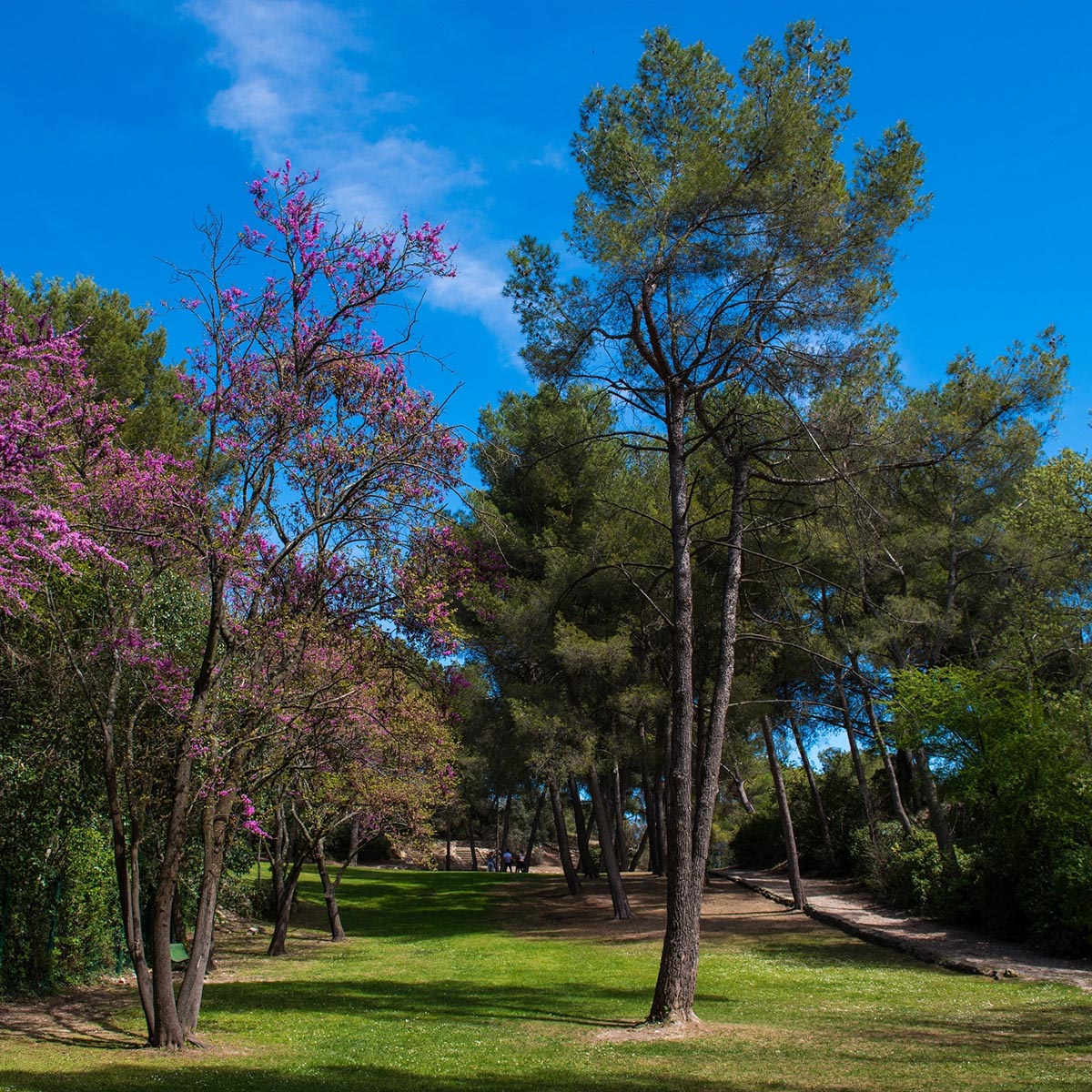 Parc de la Colline de Cuques