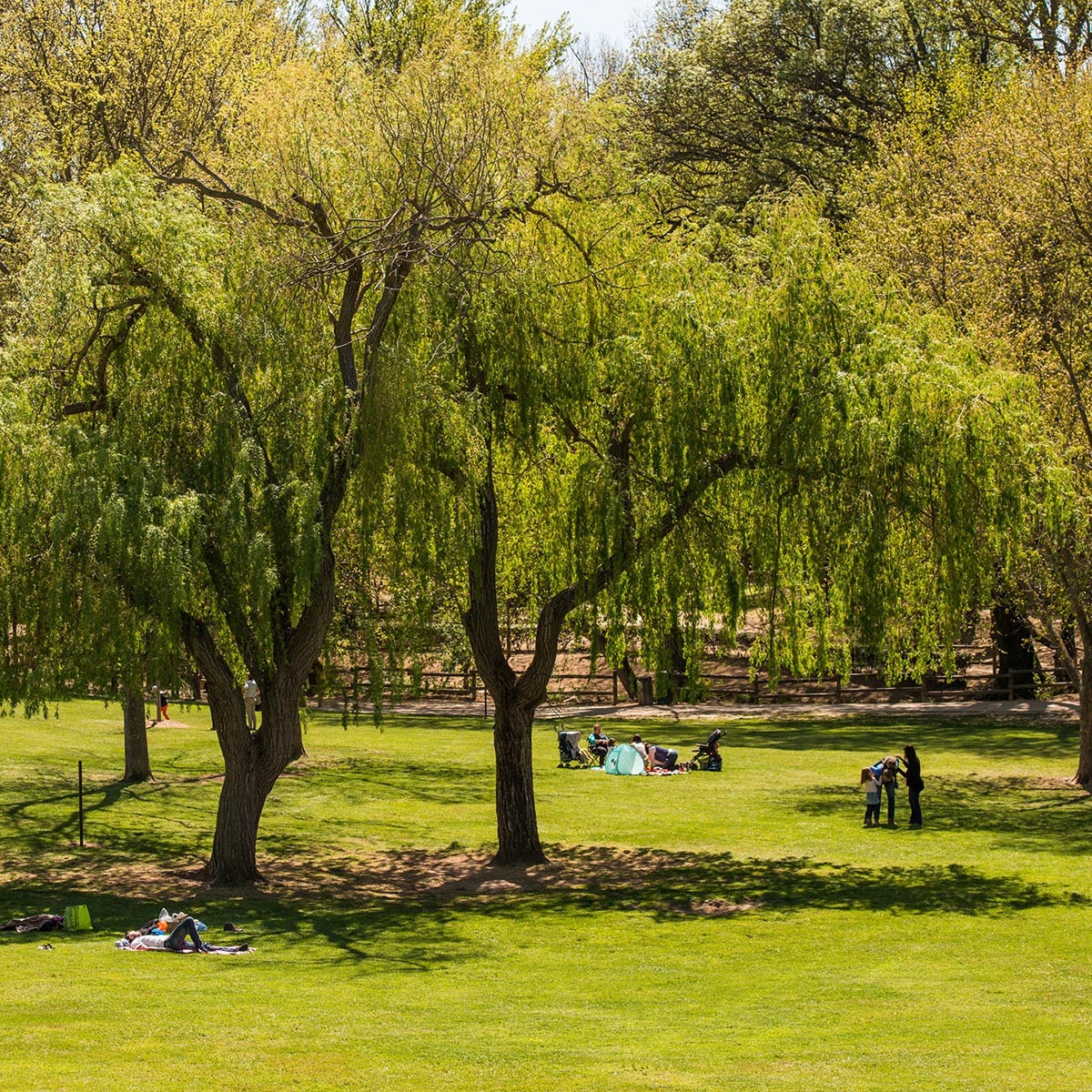 Parc de la Torse