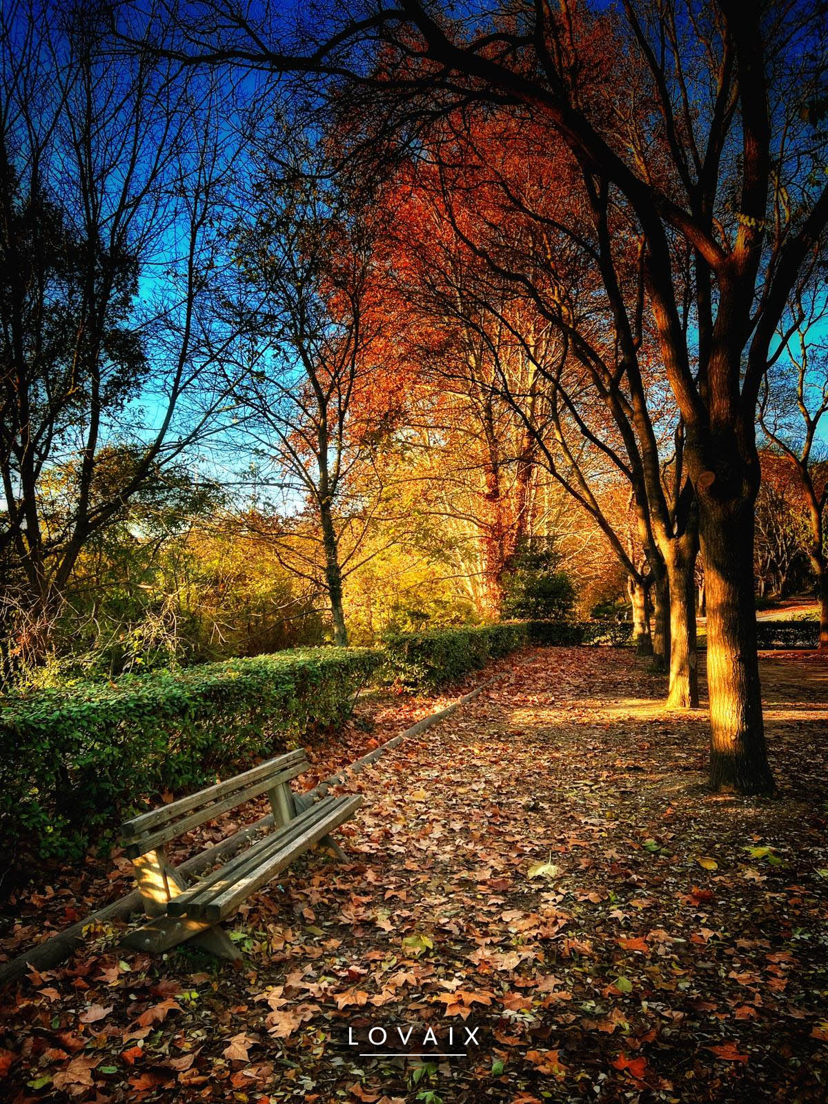 Parc de la Torse