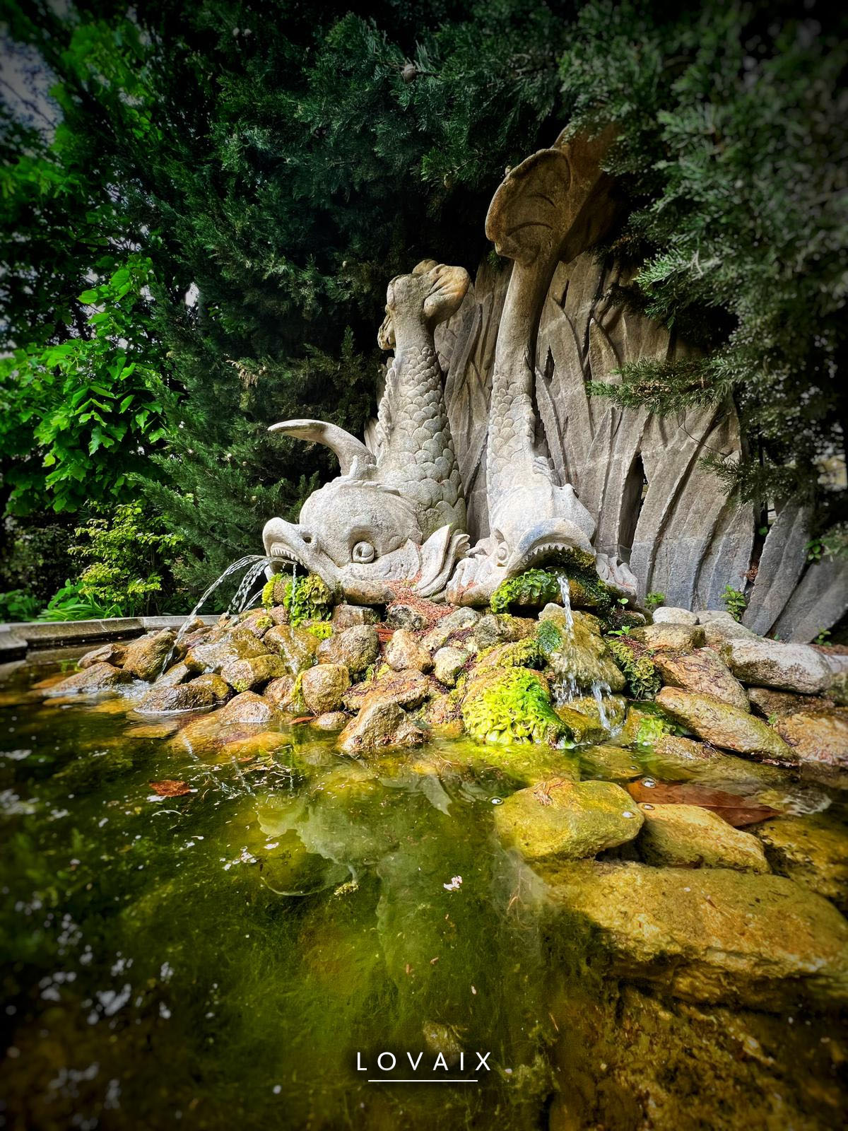 Fontaine de Caumont